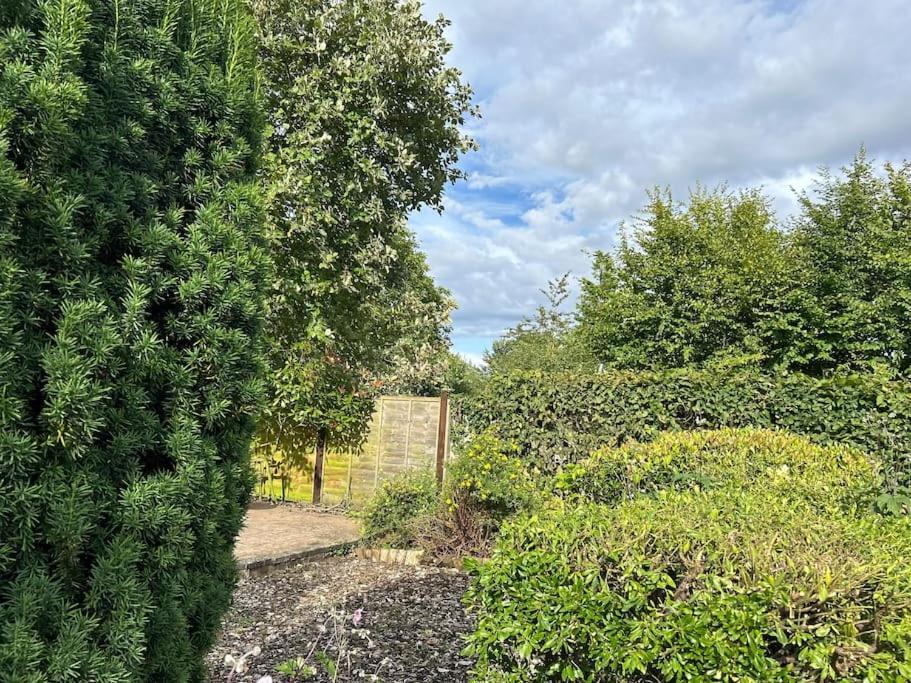 Abacus Cottage Whitwell-on-the-Hill Exteriér fotografie